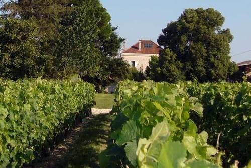 โดแมน เดอ กิตติญ็อง บริเยต Hotel Moulis-en-Medoc ภายนอก รูปภาพ